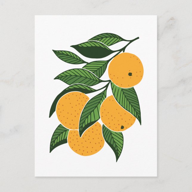 Minimalist oranges and leaves  postcard (Front)