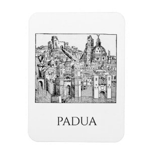 Minimalist Padua Medieval Skyline Line Art Magnet