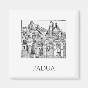 Minimalist Padua Medieval Skyline Line Art Magnet