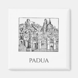 Minimalist Padua Medieval Skyline Line Art Magnet