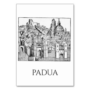 Minimalist Padua Medieval Skyline Line Art Table Number