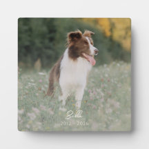 Minimalist Photo Keepsake Dog Loss Rememberance
