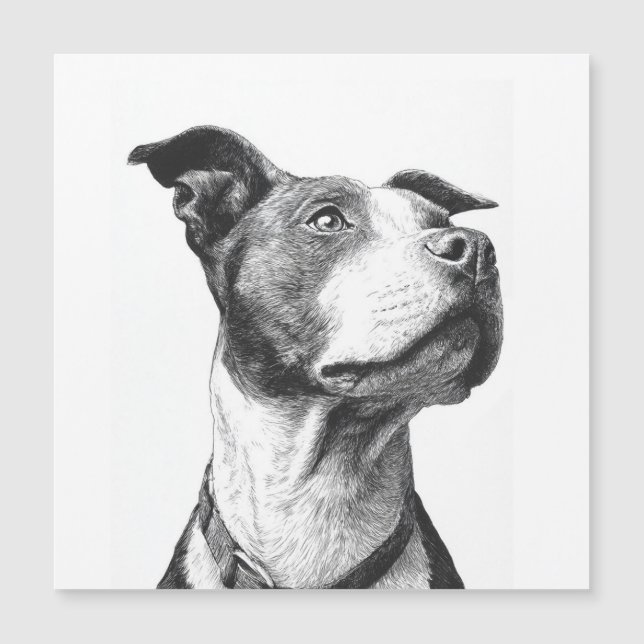 Minimalist Pitbull Black and White Art (Front)