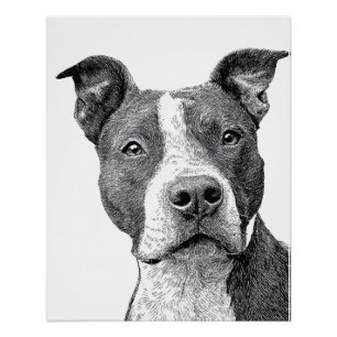 Minimalist Pitbull Silhouette Black and White Poster