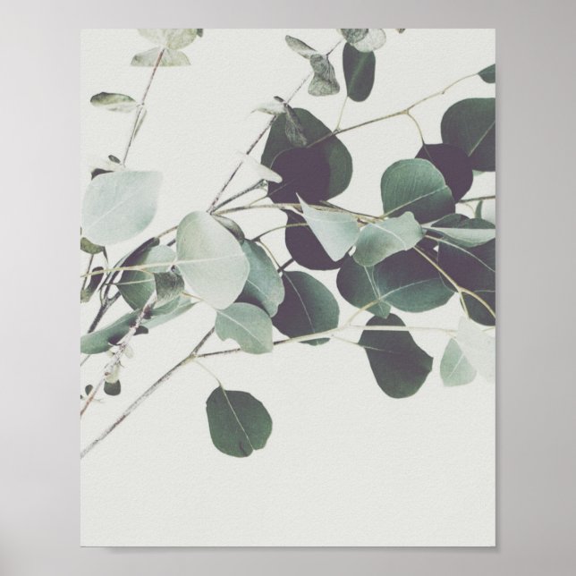 Minimalist Plant Photography Fine Art Poster (Front)