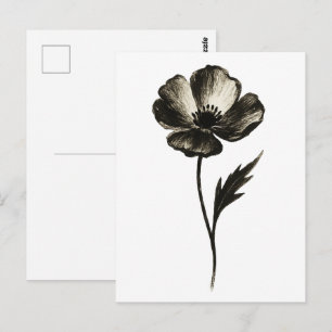 Minimalist Poppy – Monochrome Botanical Ink Art on Postcard