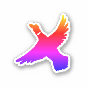 Minimalist Rainbow Duck