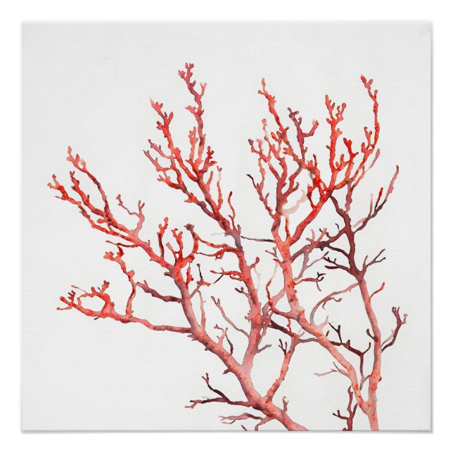 Minimalist Red Coral Poster (Front)