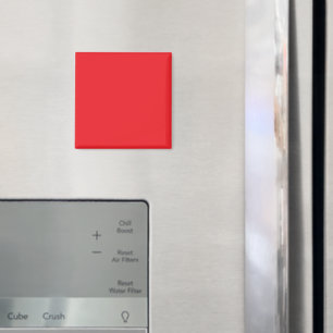 Minimalist Red Luxe Statement Magnet