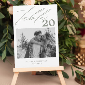 Minimalist Sage Wedding Table Number Pictures
