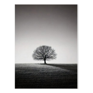 Minimalist Solitary Tree Landscape Monochrome Poster