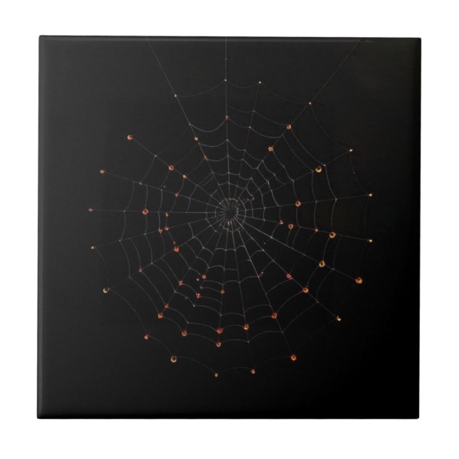 Minimalist Spider Web Halloween Ceramic Tile (Front)
