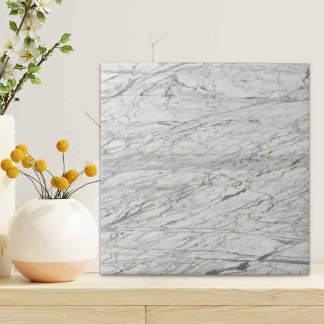 minimalist stylish modern chic grey marble ceramic tile (minimalist stylish modern chic grey marble ceramic tile)