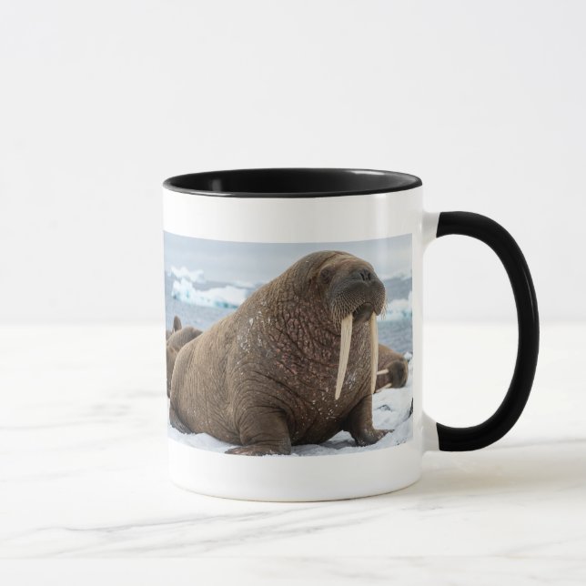 Minimalist Walrus Mug | Unique Animal Lover Gift (Right)