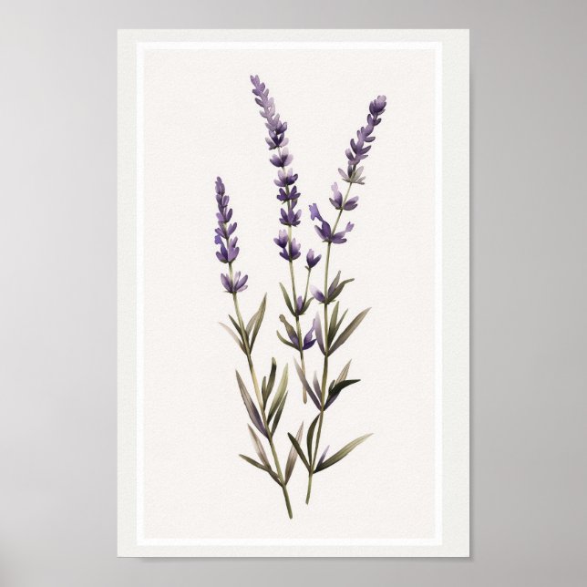 Minimalist Watercolour Lavender Flower Stem Poster (Front)