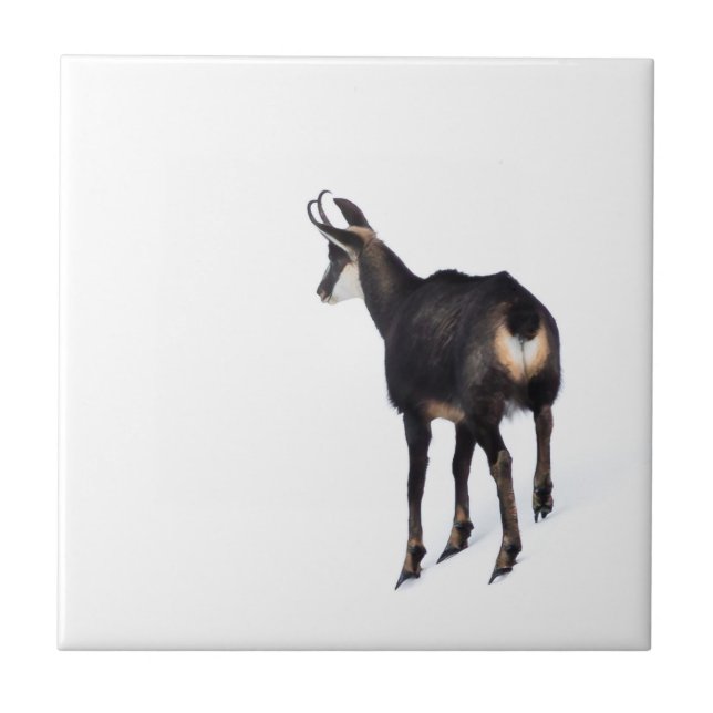 Minimalistic Alpine Chamois mountain goat on snow Ceramic Tile (Front)
