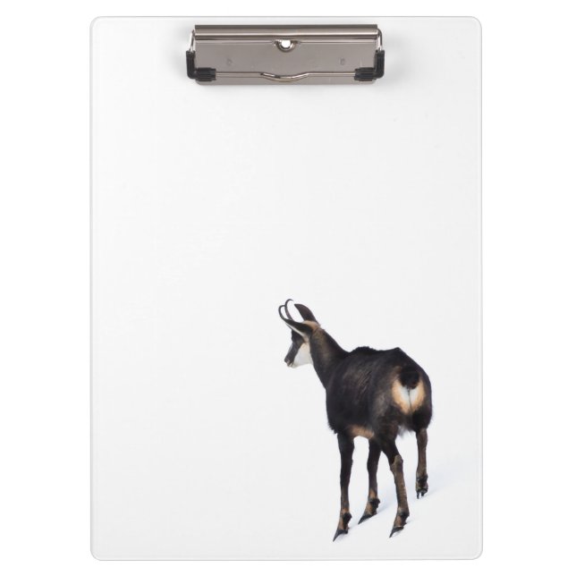 Minimalistic Alpine Chamois mountain goat on snow Clipboard (Front)