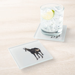 Minimalistic Alpine Chamois mountain goat on snow Glass Coaster