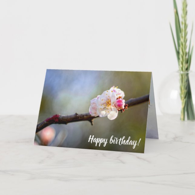 Minimalistic Art Of Japanese Apricot In Bloom Card (Front)