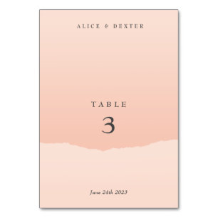 Minimalistic Elegant Blush Wedding Table Number