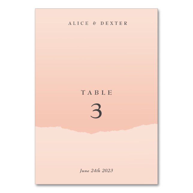 Minimalistic Elegant Blush Wedding Table Number (Front)