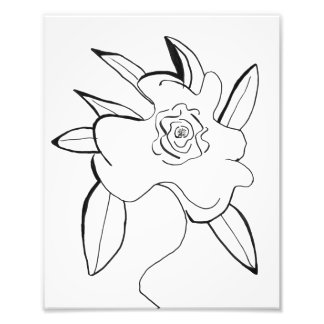 Minimalistic Flower Photo Print