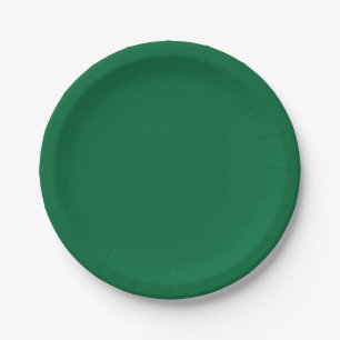 Minimalistic simple plain beautiful green colour paper plate