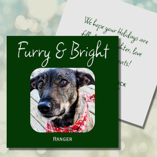 Minimimalistic Green Pet Photo Christmas Card