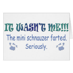 MiniSchnauzer