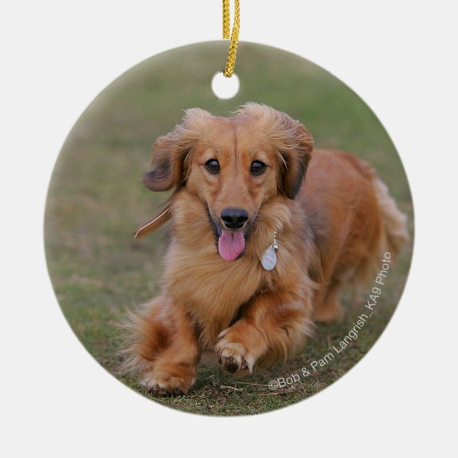 Miniture Dachshund Running Ceramic Tree Decoration (Front)