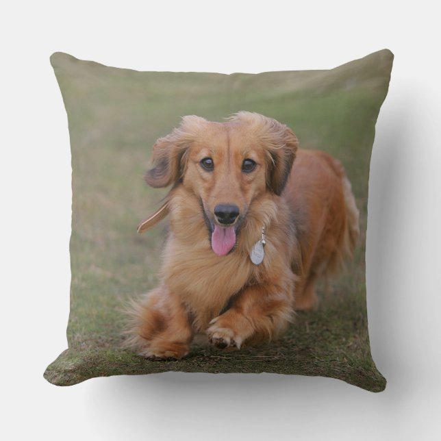 Miniture Dachshund Running Cushion (Front)