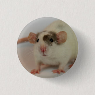 Mink dumbo Rat 3 Cm Round Badge