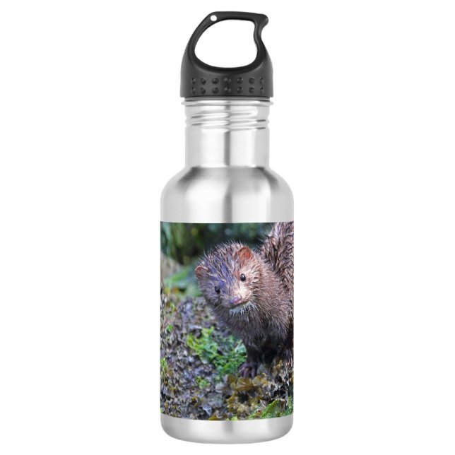 Mink Photo Closeup 710 Ml Water Bottle (Front)