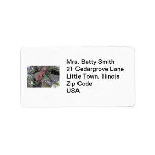 Mink Photo Label
