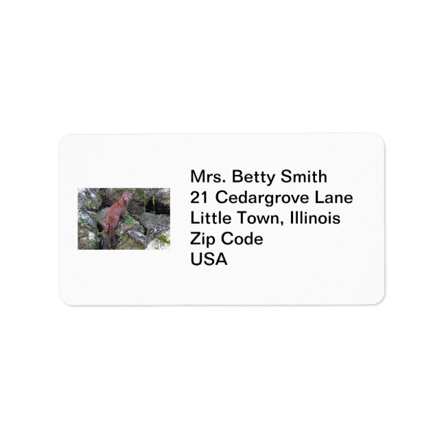 Mink Photo Label (Front)