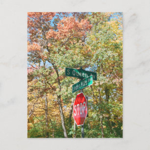 Minneapolis Minnesota Linden Hills Fall Colours Postcard