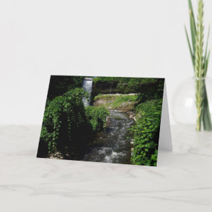 "Minnehaha Falls #4" Thank You Card