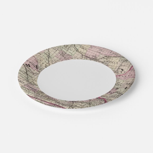 Minnesota 9 paper plate (Angled)