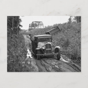 Minnesota Blueberry Pickers, 1937 Postcard