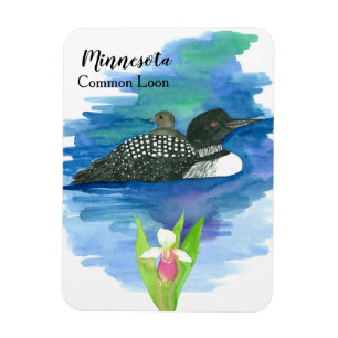 Minnesota Common Loon Bird Watercolor Magnet