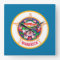 Minnesota Flag