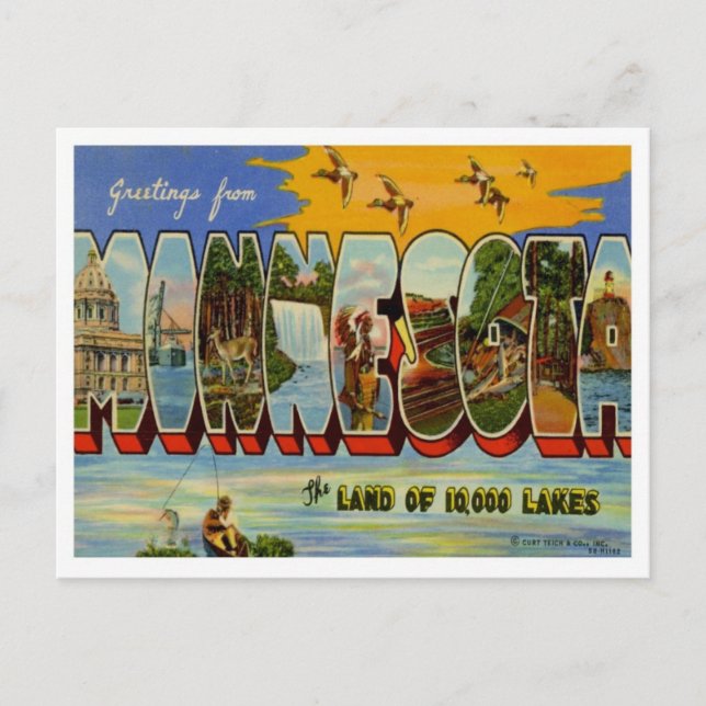 Minnesota Greetings From US States Postcard (Front)