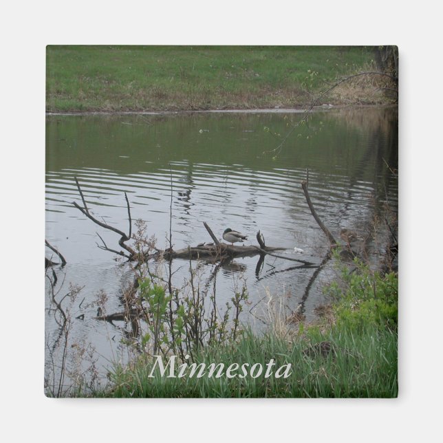 Minnesota Magnet (Front)