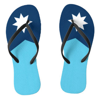 Minnesota new flag thongs