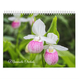 Minnesota Orchids calendar