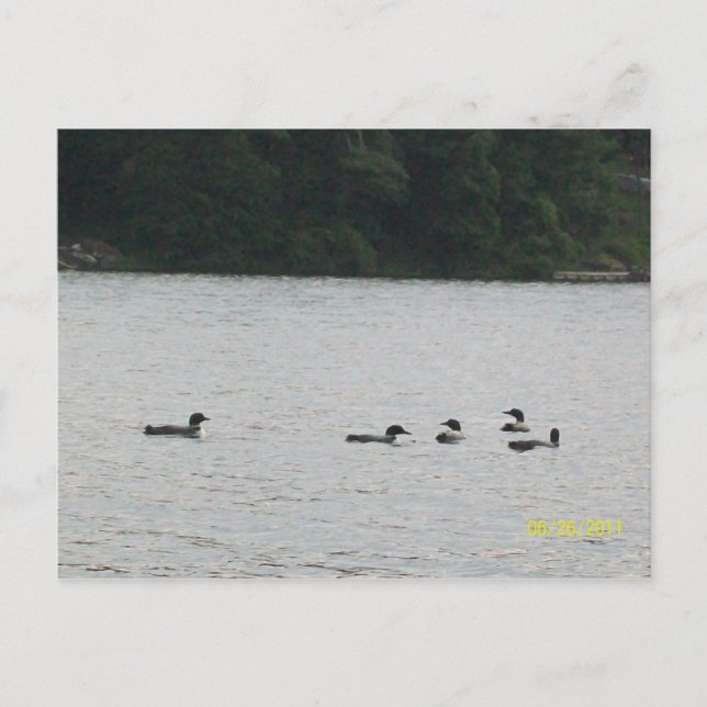 Minnesota Postcard (Front)