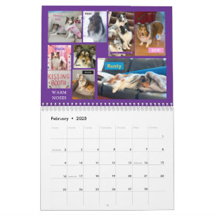 Minnesota Sheltie Rescue Calendar 2025