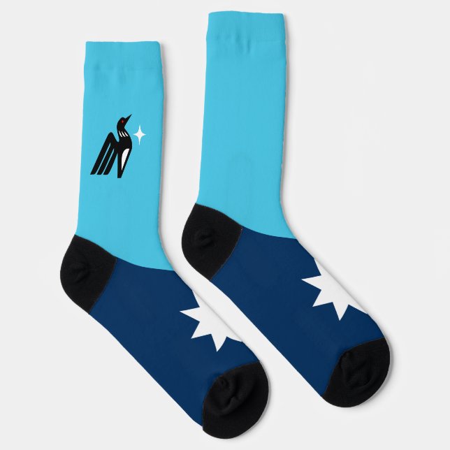 Minnesota State Flag Socks (Right)