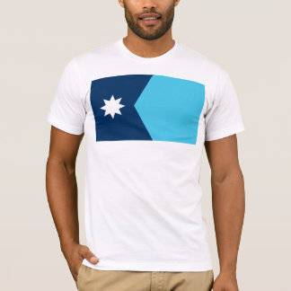 Minnesota State Flag T-Shirt