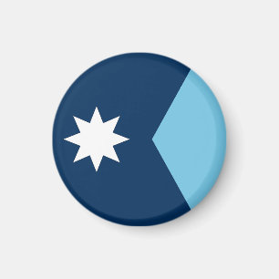 Minnesota State Flag USA Magnet